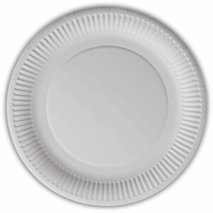 100 Large 9inch Paper Plates